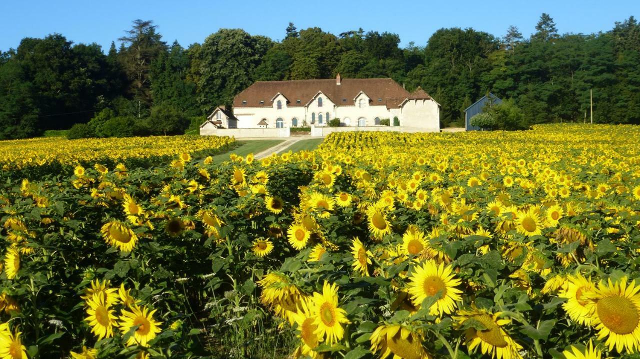 新区住宿加早餐旅馆 Saint-Jean-Saint-Germain 外观 照片