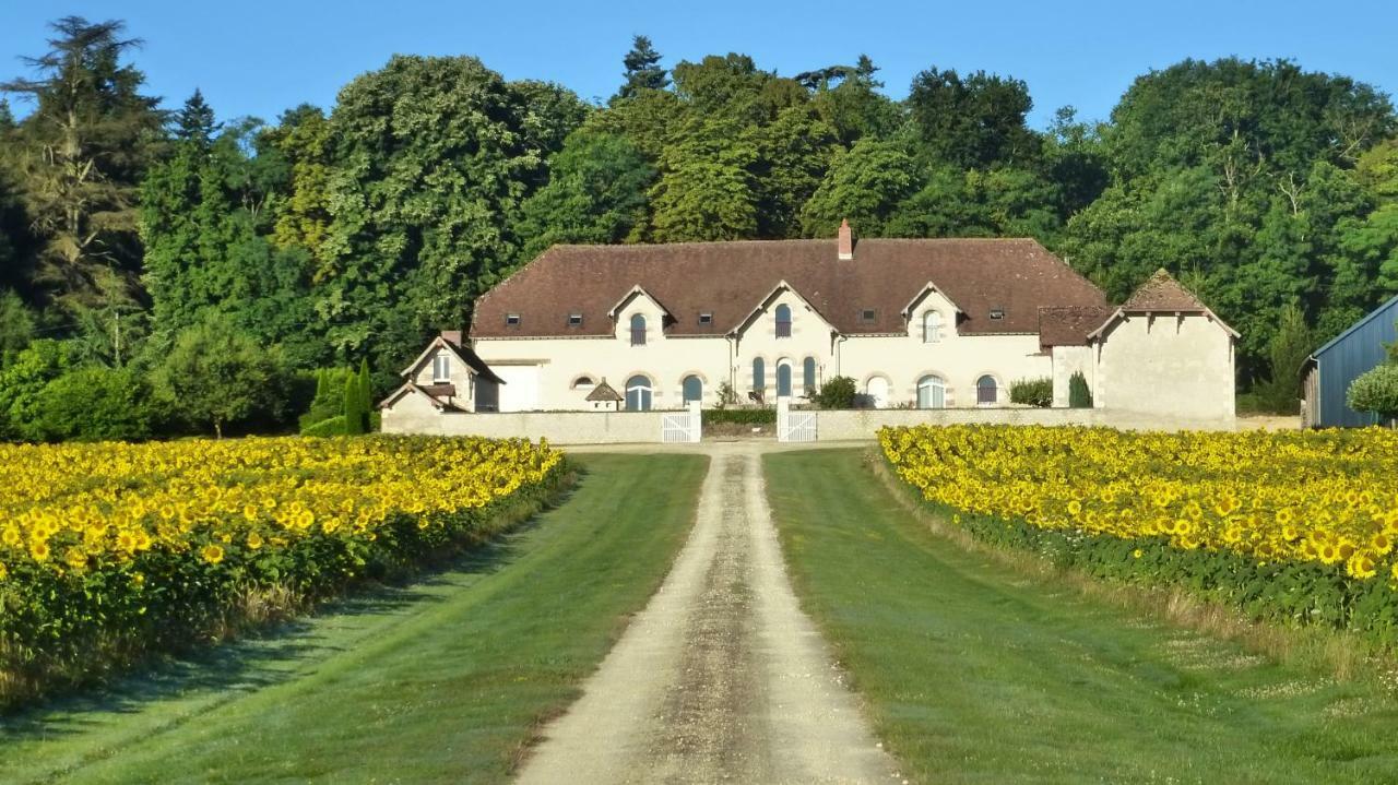 新区住宿加早餐旅馆 Saint-Jean-Saint-Germain 外观 照片